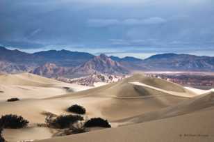 Mesquite Dunes-0216